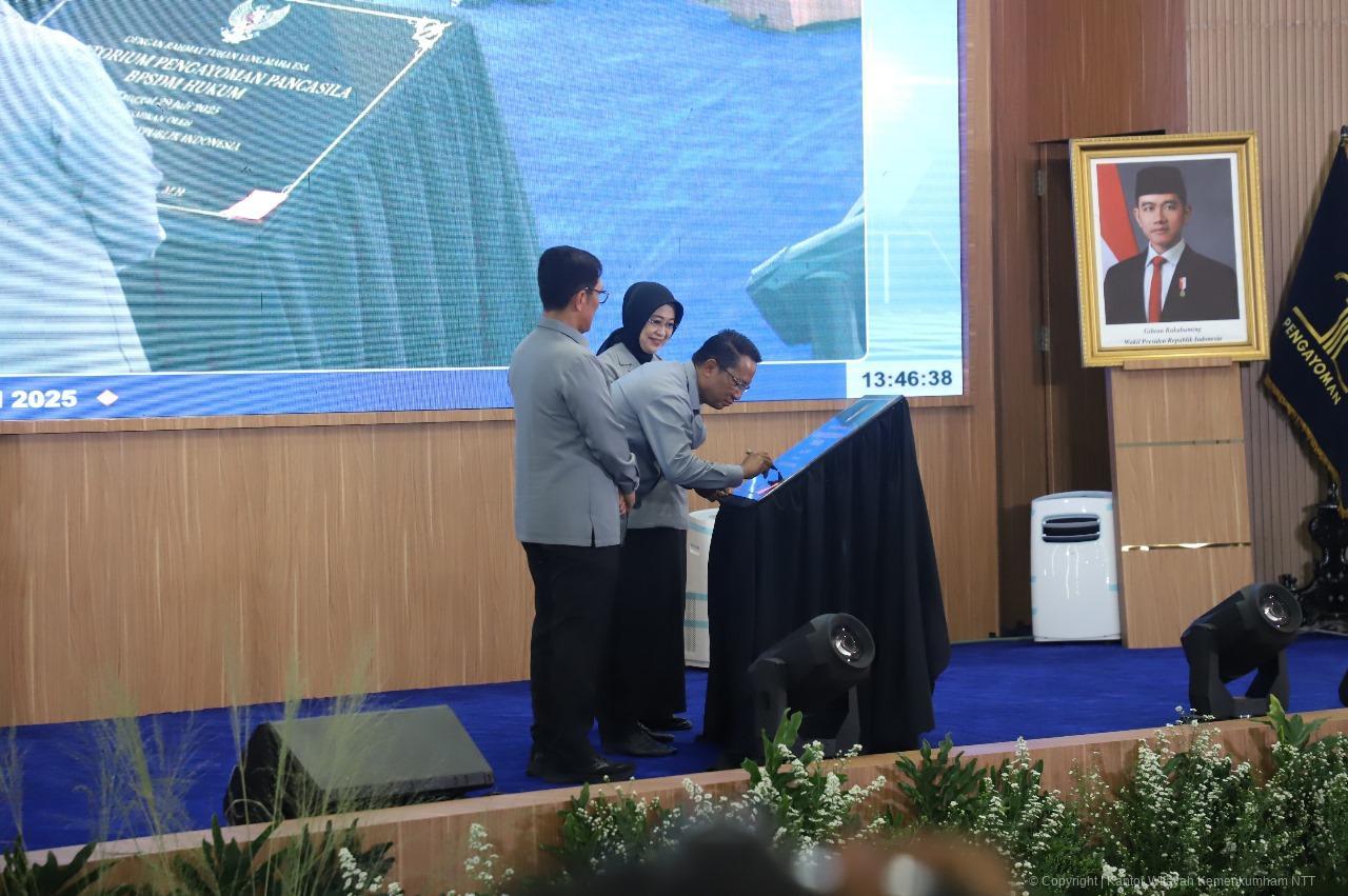 WhatsApp Image 2025 07 29 at 16.45.46 1