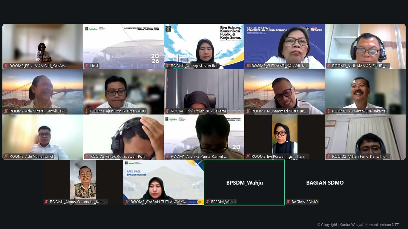 WhatsApp Image 2026 02 12 at 12.16.39