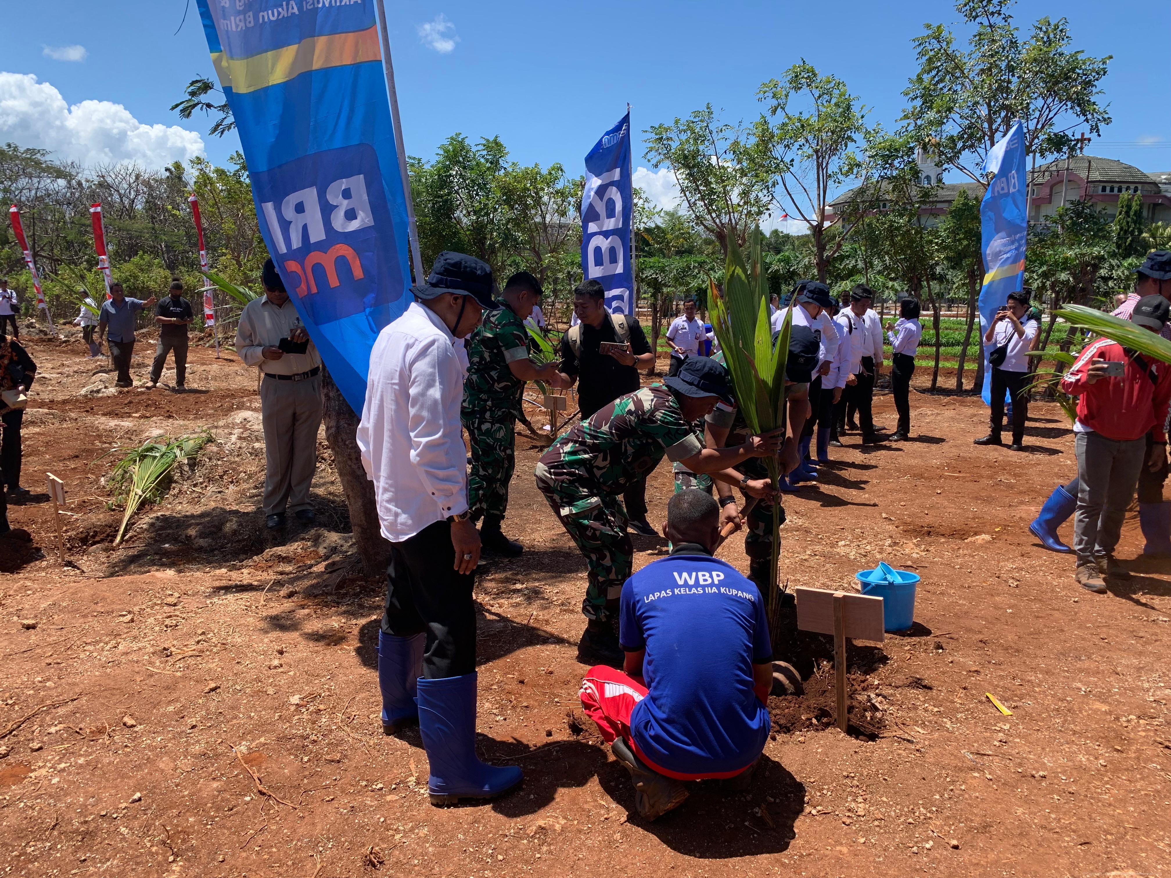 WhatsApp Image 2025 09 09 at 16.45.49